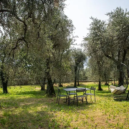Il Sogno Nel Borgo Gargnano