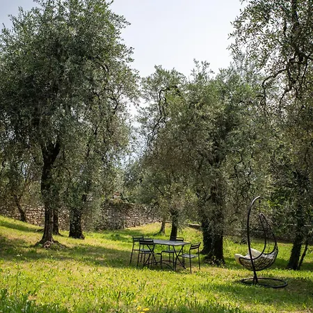 Il Sogno Nel Borgo *