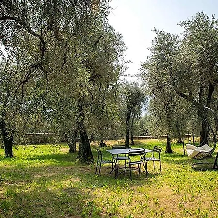 Il Sogno Nel Borgo 3*